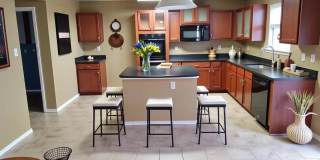 11502 Forest Branch Gallery 7