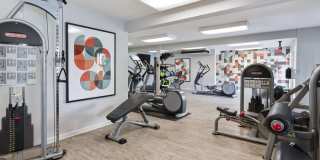 Alura Gallery 14