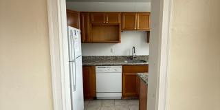 New King Edward Gallery 560