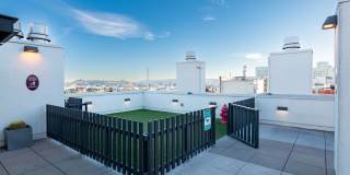 The Wilson Gallery 17