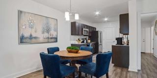 Belle Mor Luxury Apartments Gallery 2