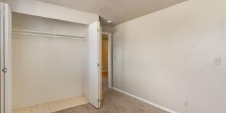 Dolphin Apartments Gallery 23