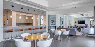 Northbridge on Millenia Lake Gallery 10