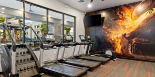 Acero at the Stadium Gallery 15