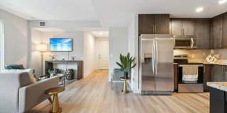 Ovation at Park Crest Gallery 16