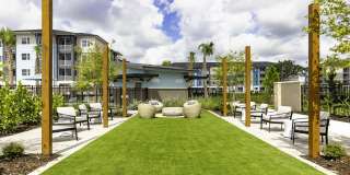 The Dahlia Gallery 20