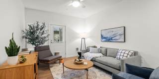 Modera Lacey Gallery 24