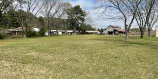 Country living, right in the center of Olive Branch Gallery 13