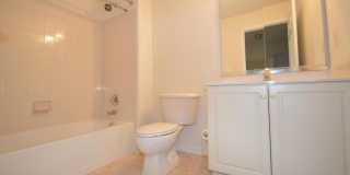 42555 PELICAN DR Gallery 18