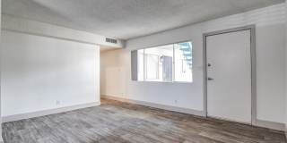 The Hendrix The Hendrix Gallery 39