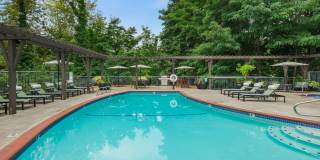 Parkridge Parkridge Gallery 18