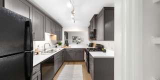 TGM Bull Run Gallery 3