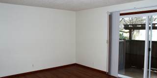 2bd/1ba Apartment - W/S/G & Landscaping Maintenance Included! Move in Special! Gallery 5