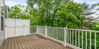 309 Spring Bank Way - 1 Gallery 17