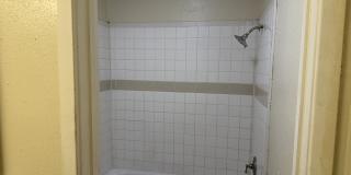 9130 KINGS HBR Gallery 9