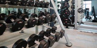 Hyde Square Gallery 31