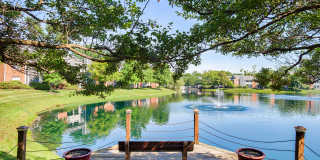 Lakeshore Apartments Gallery 60