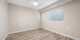 1249 Palm Street Gallery 28