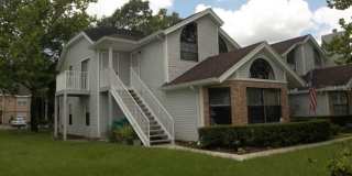 3110 FOX SQUIRREL DR DRIVES Gallery 1