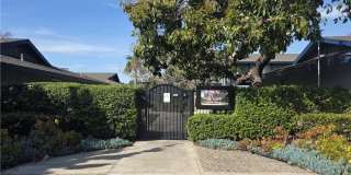 1107 W Memory Lane Gallery 30