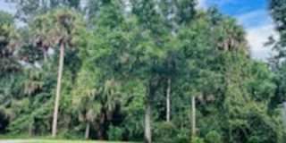 1100 Lutyens Ln Gallery 5