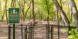 Avana Minnetonka Gallery 61