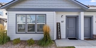 Amazon Falls Gallery 41