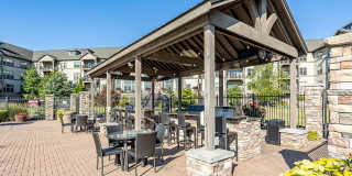 The Seasons of Carmel Gallery 41