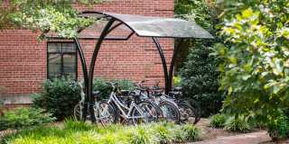 Cameron Court & Shelton Gallery 22