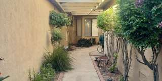 259 Calle Del Verano Gallery 14