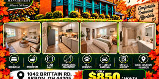 "1 Month Free Rent Promo" Renovated 1 Bedroom & 1 bathroom Apartment Unit in Akron Gallery 1