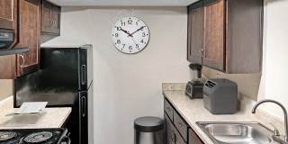 The Lory of Savannah Gallery 2