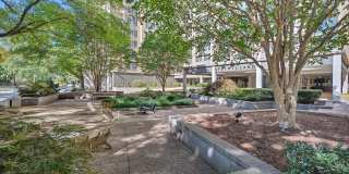 Willard Towers Gallery 19