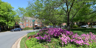 4811 30th St S Apt B2 4811 30th St S Apt B2 Gallery 1