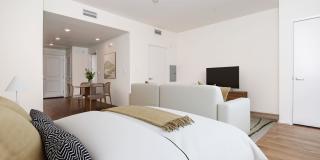 Vineyards Gallery 142