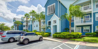 Abaco Key Gallery 29