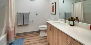 Cypress Gallery 12