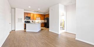 The Hawthorne Gallery 8