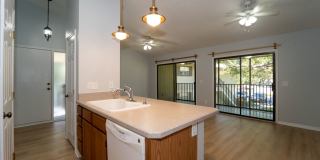 Conquistador 2/2 Condo Gallery 7