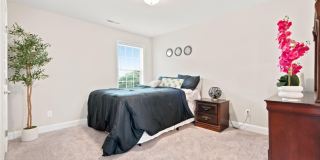 175 Slade Thomas Drive Gallery 17