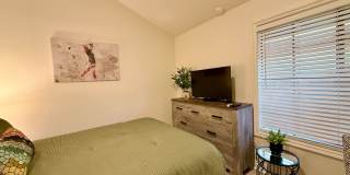 SEASONAL - Woodhaven CC - AMAZING SEASONAL - Woodhaven CC - AMAZING Gallery 21