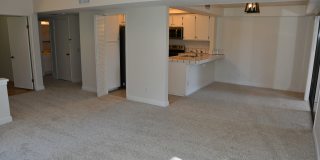 10336 Ridgewater Lane - 1 Gallery 7