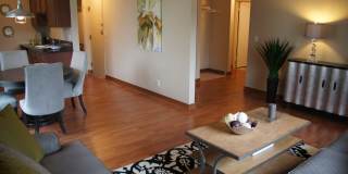 Lake Pointe Gallery 1