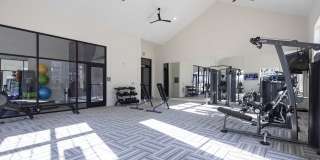 Waterleaf at Cold Springs Gallery 8