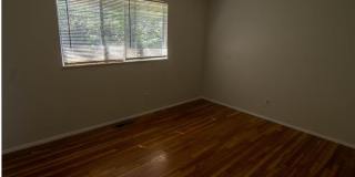 Spacious 3 bedroom 1.5 bath ranch Gallery 5