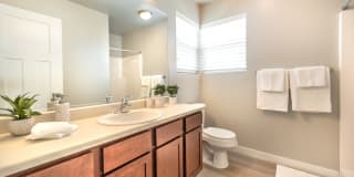 Olympus at The District Gallery 21