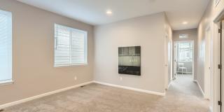C2 Apartments Gallery 22
