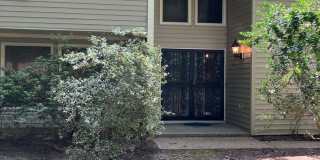 4852 Rosewell Drive Gallery 1