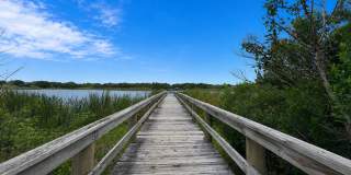 Fantastic 2br/2ba Condo in 55+ Community in On Top Of The World, Clearwater ! Gallery 53