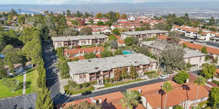 Upstairs Bright 2 bedroom Condo Gallery 37